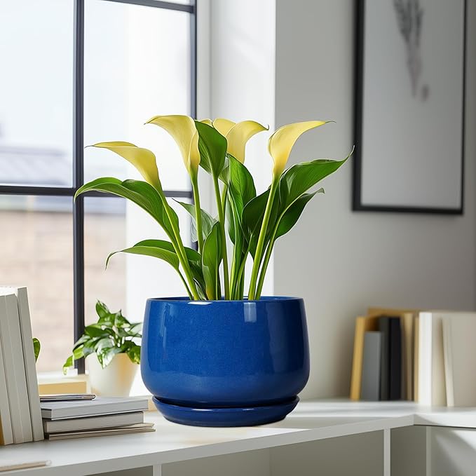 G EPGardening Ceramic Pots for Plants, 9 Inch Modern Round Planter with Drainage and Tray Indoor Outdoor for Flower, Patio Decor, Housewarming Gifts, Blue GEPGardening