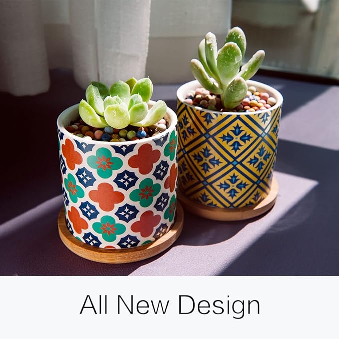 6 Pack Succulent Pots with Drainage Hole, 3 inch Ceramic Succulent Planter with Bamboo Tray, Bright Color Succulent Plant Pots for Cacti Succulent Soil Potting Mix Indoor/Outdoor Ascrafter