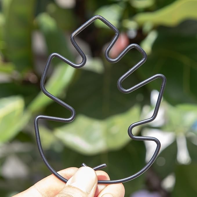Monstera Plant Stem Support Set - 5pcs 4.13x2.95 inches Durable Supports for Indoor Climbing Plants - Easy-to-Use Stabilizers for Healthy Growth and Elegant Garden Decor Yohsnor