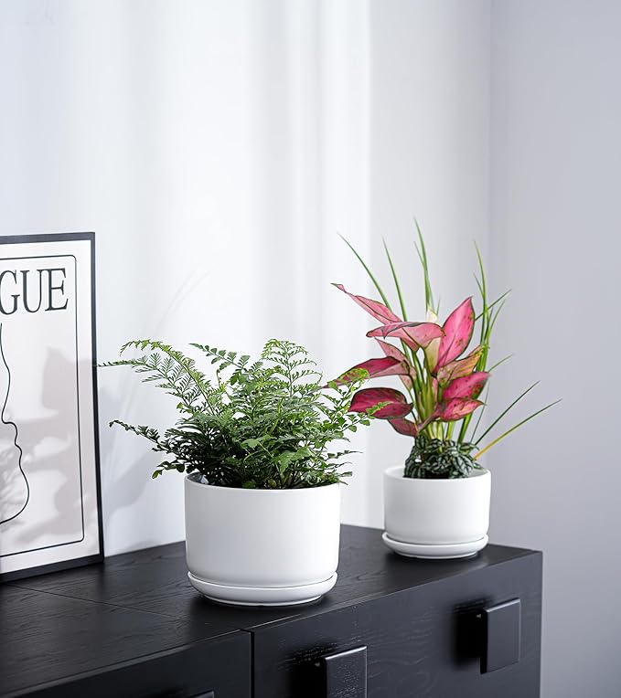 Ton Sin Plant Pots, 4.1+5.1+6.5 inch, Set of 3, Ceramic Planters with Drainage Hole and Saucer, Indoor Flower Pot with Drainage Hole, Gifts for Mom(Matte White) TonSin