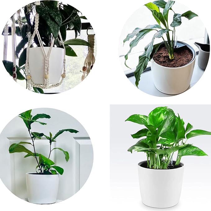5 Pack 7 Inch Self Watering Planter for Indoor Plants, White Decorative Round Plastic Self Watering Pots with Level Indicators for Soil Planting, Flowers, Herb, African Violet, Succulent HEIHAK