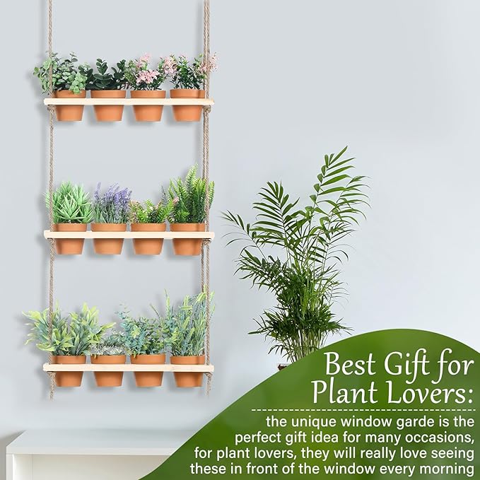 3 Tiered Hanging Herb Planters Hanging Herb Garden Wall with 12 Pcs Nursery Pot Wood Vertical Window Plant Shelf with Holes and Rope Plastic Flower Pots Spring Garden Indoor Kitchen FillTouch