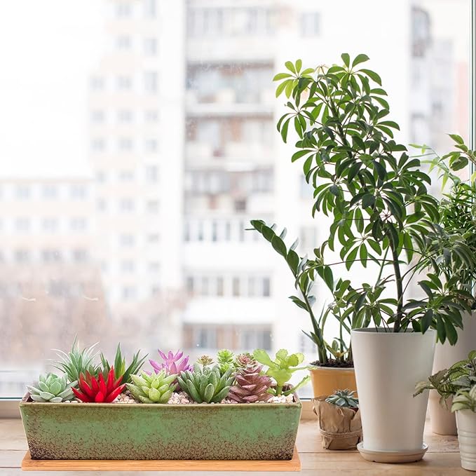 Succulent Pots - Large Succulent Planter Pots with Drainage, 12 Inch Long Rectangle Bonsai Pot with Bamboo Tray Shallow Ceramic Cactus Flower Planter Window Box for Home Garden Decor (Green) ARTKETTY