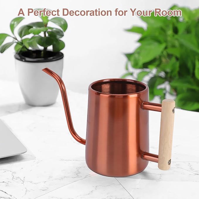 Watering Can Indoor Plants, 35 oz/1000 ml Metal Stainless Steel Watering Can Pot with Long Spout for Indoor House Plants Bonsai Outdoor Garden Flower Decorative (Copper) Rootora
