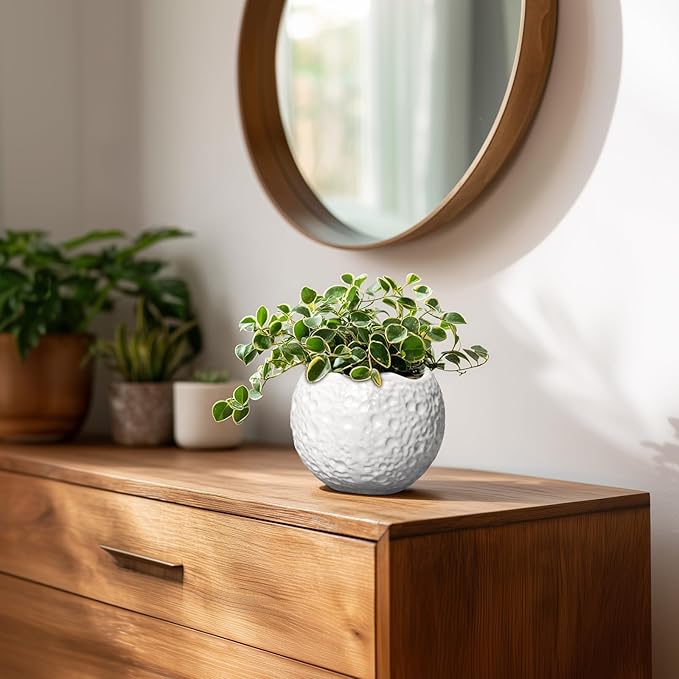 4 inch Plant Pots - Ceramic Pots for Plants with Drainage Hole, Small Planter for Indoor Outdoor, Unique Succulent Pot, Decorative Modern Round Planter, Desk Decor, Plant Lover Gifts, White Thirtypot