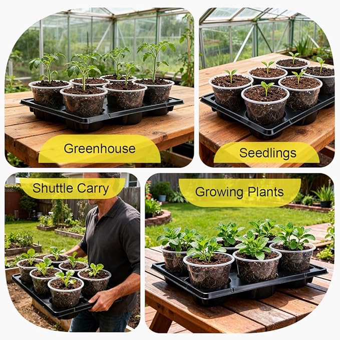 30 Pack 6 Inch Clear Nursery Pots and 5 Pack 6 Cell Round Plant Pot Trays, Sturdy Seeds Starting Germination Shuttle Carrying Trays, Planter Nursery Propagation 5 Sets RooTrimmer