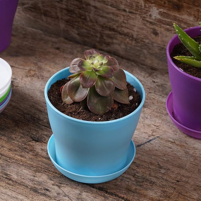 TDHDIKE 10 Pcs Plastic Planters Indoor Pots, Mini Flower Seedlings Nursery Flower Pot with Pallet, Modern Decorative Gardening Containers TDHDIKE