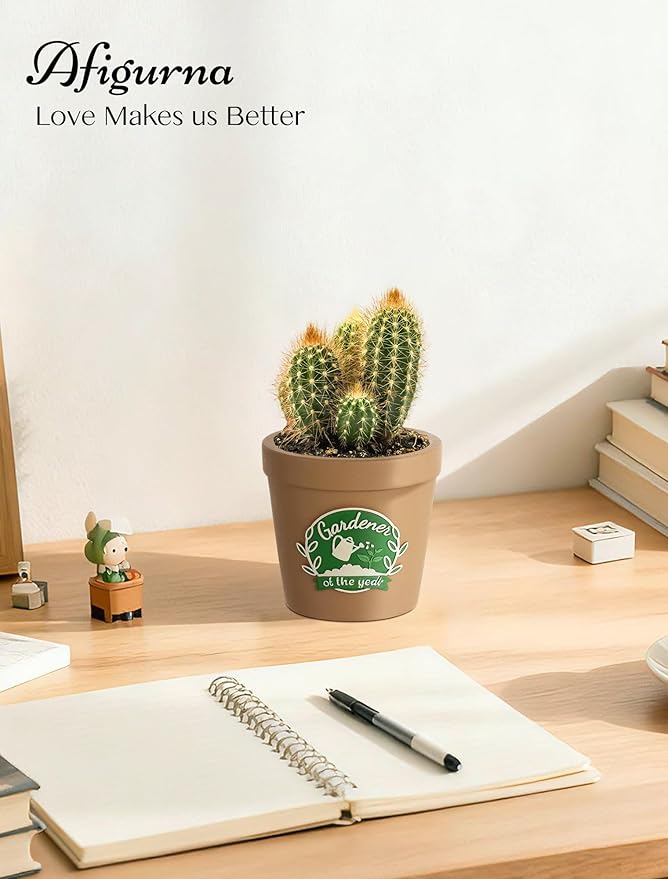 Gardening Gifts for Women: Hand-Painted 3D Art Cute Succulents Planter - Funny Garden Gifts for Plant Lovers Gardeners Mom Grandma - Cool Plant Pot Present for Christmas Birthday Mother's Day Rootora
