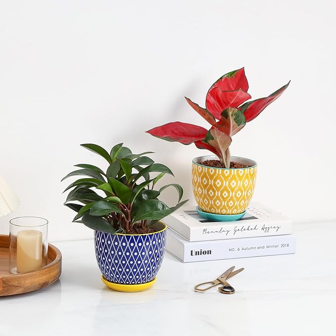 Selamica Ceramic Plant Pots, 5.6 Inch Flower Pots for Indoor Plants, Planters with Drainage Hole and Saucer, Garden Pots for Succulent, Orchid, Home Decor, Set of 4, Assorted Colors Selamica