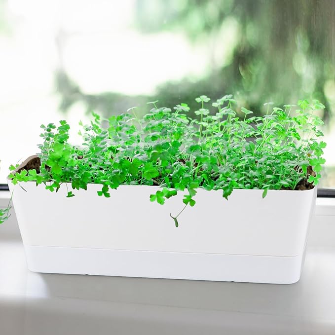 Window Box Planter with Tray, 12" Rectangle Plant Pot, Pack of 3 (White) Sanbege
