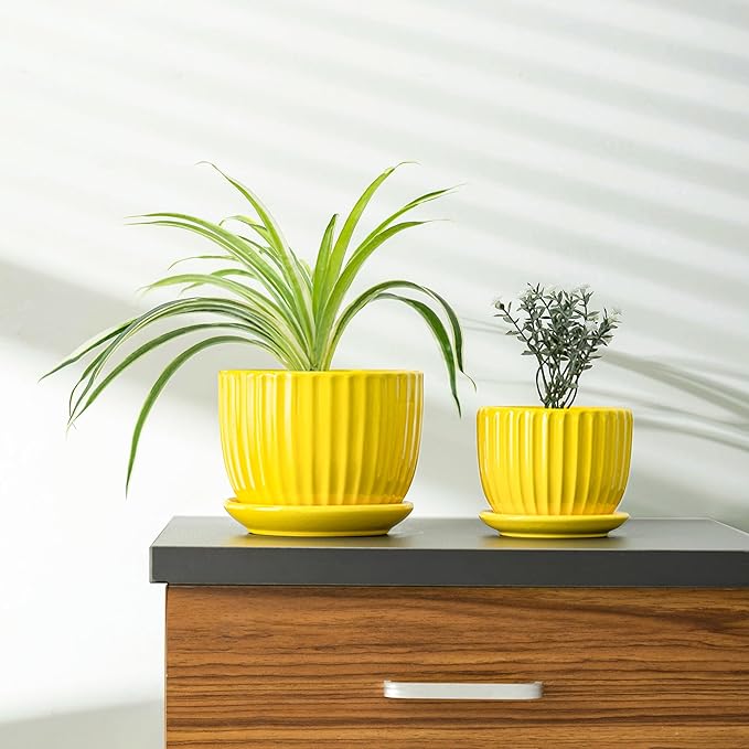 Ton Sin Ceramic Flower Pots,Yellow Plant Pots for Indoor Plants,4.1+5.1+6.5 inch Ceramic Plant Pots with Tray,Medium Indoor Planters for Aloe Cactus Decorative Pots with Drainage Hole (Set of 3) TonSin