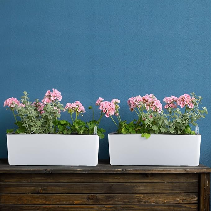 Skelang 2-Pack Self Watering Planter, Rectangle Flower Pot with Water Level Indicator, Window Gardening Box for Indoor Plants, Succulent, Sprout, Pepper Skelang
