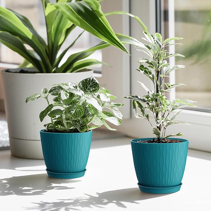 6 inch Plant Pots, 5 Pack Flower Pots with Drainage Holes and Saucers for Indoor Plants, Plastic Planters with Water Ripple for Small Garden House Plants, Nursery Pots for Succulent, Blue Green WSMKSZ