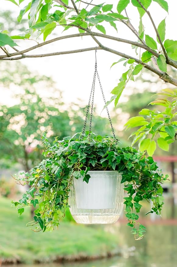 Melphoe 1 Pack Self Watering Hanging Planters Indoor Flower Pots, 8.3 Inch Outdoor Hanging Plant Pot Basket, Plant Hanger with 3Hooks Drainage Holes for Garden Home Melphoe