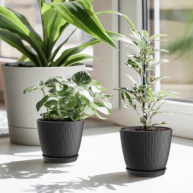 6 inch Plant Pots, 5 Pack Flower Pots with Drainage Holes and Saucers for Indoor Plants, Plastic Planters with Water Ripple for Small Garden House Plants, Nursery Pots for Succulent, Black WSMKSZ