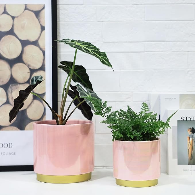 Gepege Pink Indoor Plant Pots for Plants, Ceramic Planter with Drainage Hole, 7.6 Inch +6 Inch 2pcs Succulent Orchid Flower Pot - Rainbow Pearl Glaze Gepege