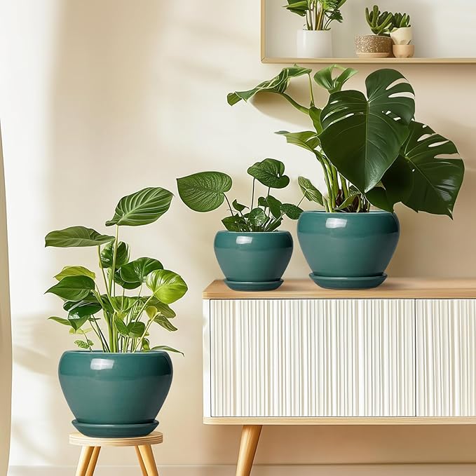 Indoor Plant Pot 6 Inch - Ceramic Planter with Drainage Hole and Saucer, Modern Decorative Indoor Planter for Herb Succulent Plants, Garden Home Decor, Gifts for Plant Lovers, Green Ceramicfor