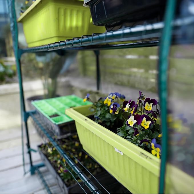 Worth Garden 50% Extra Wide Mini Greenhouse 5 Tier Portable Plant Green House 40in Wide -Sturdy Gardening Shelves with PVC Cover - Indoor & Outdoor Wheatgrass Growing - 19″x40″x75″ WORTH