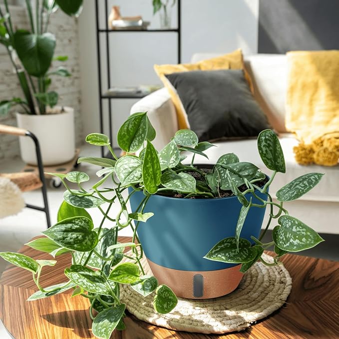 8/10/12 Inch Large Self Watering Pots for Indoor Plants Plastic Plant Pot for Outdoor Plants, Water Level Window & Spacious Reservoir Flower Pots Decorative Planter with Drainage and Tray (Blue) Montresor