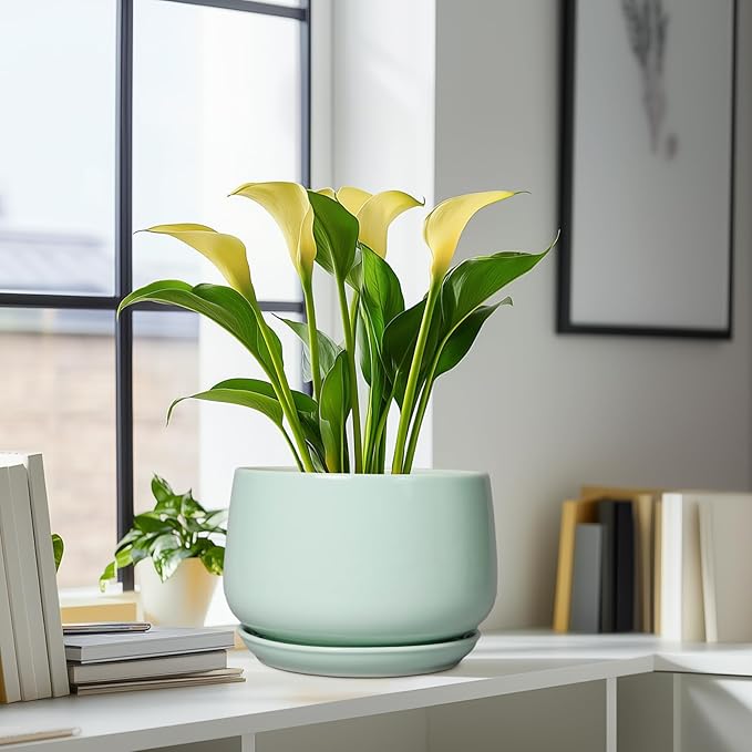 G EPGardening Ceramic Pots for Plants - 9 Inch Ceramic Planter with Drainage and Saucer, Round Planter for Indoor Outdoor Plants, Modern Flower Pots, Garden Decor, Birthday Gifts, Green GEPGardening