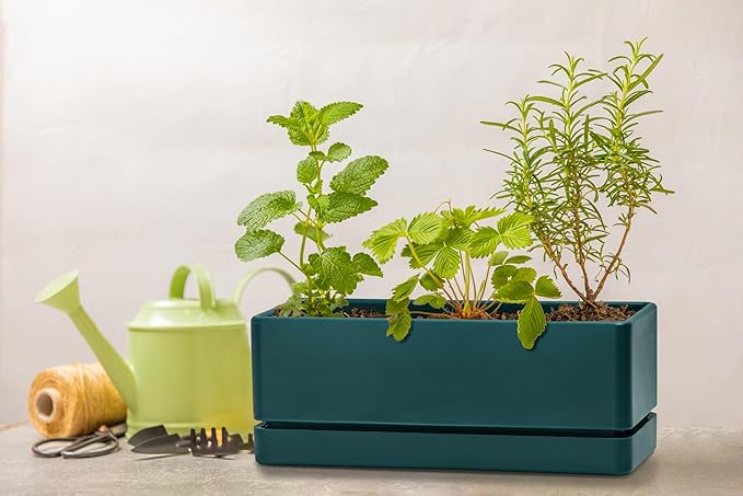 D'vine Dev 12 Inch Window Box Planter, Rectangle Plastic Herb Planter with Drainage Holes and Saucer, Indoor Succulent Cactus Vegetable Pot for Windowsill, Garden Balcony, Green, Set of 2, 76-X-C-2 DvineDevPlanterPotsandStand