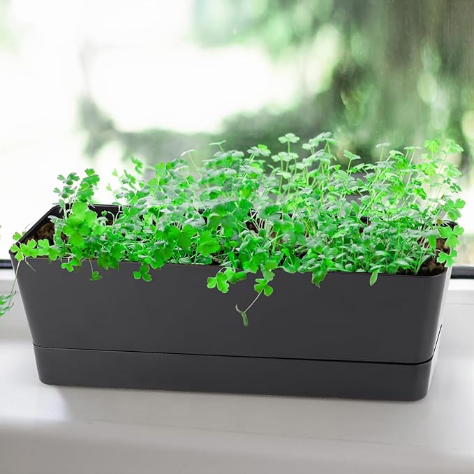 Window Box Planter with Tray, 12" Rectangle Plant Pot, Pack of 3 (Black) Sanbege