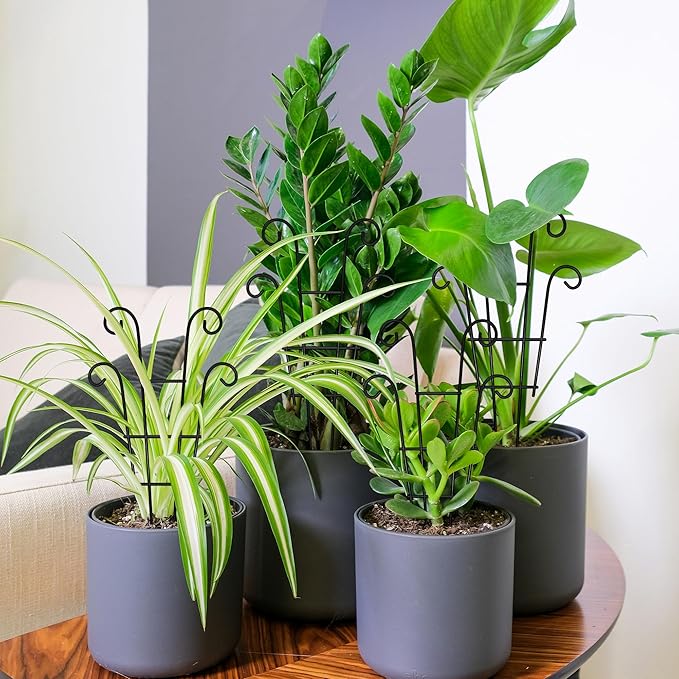 Coomin Small Plant Trellis for Climbing Plants Indoor, 14.5in Metal House Plant Trellis for Potted Plants, Mini Plant Support for Hoya Pothos, Black COOMIN