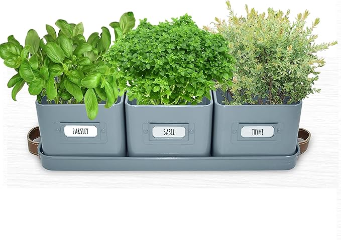 volila Herb Planter Indoor - Set of 3 Teal Blue Indoor Herb Garden Pots for Plants with Leather Handled Tray - Window Sill Plant Shelf - Herb Pots with Drainage Holes and Labels volila