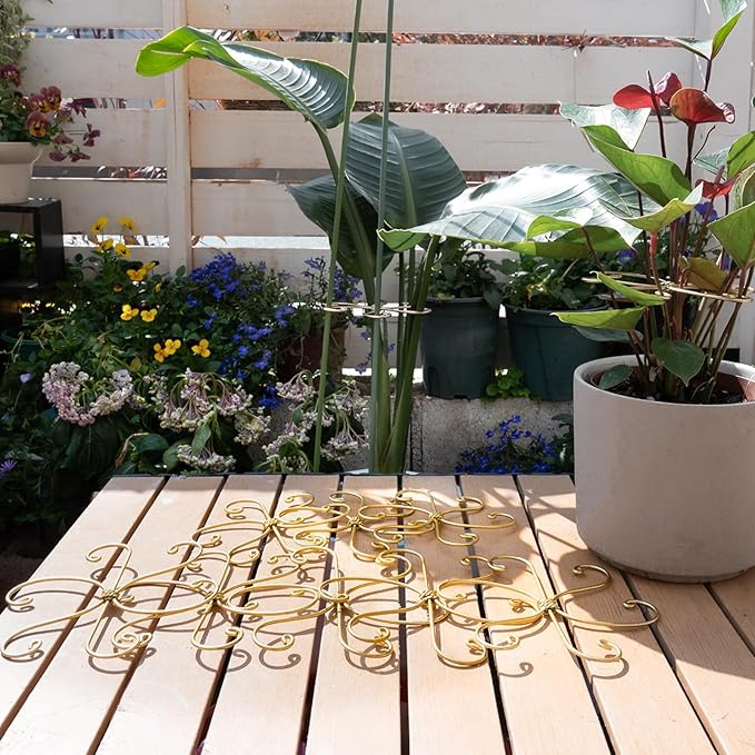 Durable Monstera Plant Support Hooks 5.5in - 5-Piece Set for Indoor Plant Stabilization, Easy-to-Use Grapple Holders for Monstera and Turtle Shell Plants for Plant Lovers Yohsnor