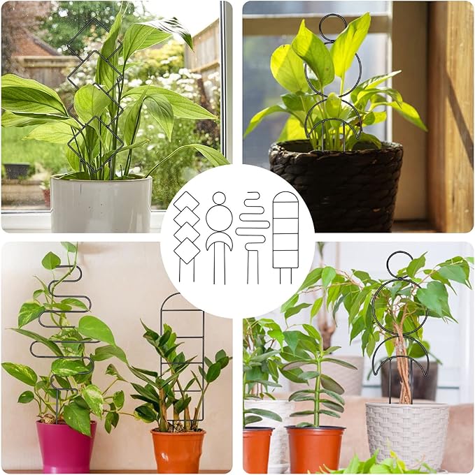 4 Pcs Mini Metal Trellis for Potted Plants, Climbing Support for Hoya Vines (Black) Rootora