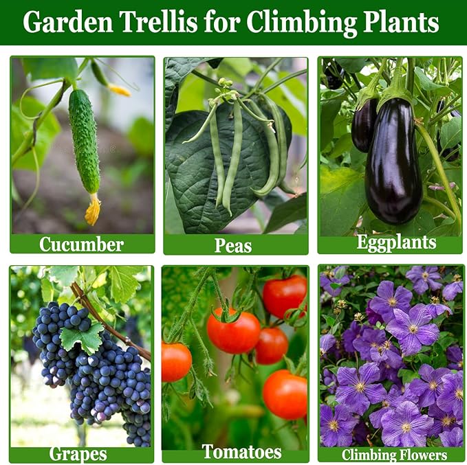 Cucumber Trellis Garden Trellis Arch Trellis, Tall Trellis for Climbing Plants Support Vegetable Peas Fruit Vine Outdoor A-Frame Trellis Suit for Small Plant not Heavy 7Queen