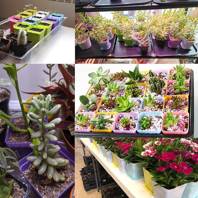 Anyumocz 42 PCS Plastic Square Plant Pots,Multi Color Nursery Pots,Small Flower Pots for Indoor Outdoor Plants,Garden,Home Balcony Decorations Anyumocz