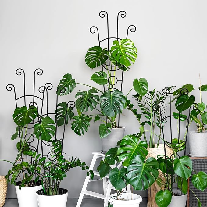 32.6in Monstera Plant Support Stakes for Indoor Plants, Metal Garden Plant Trellis for Climbing Plants, Pothos Vine Snake Climber Support,4p COOMIN