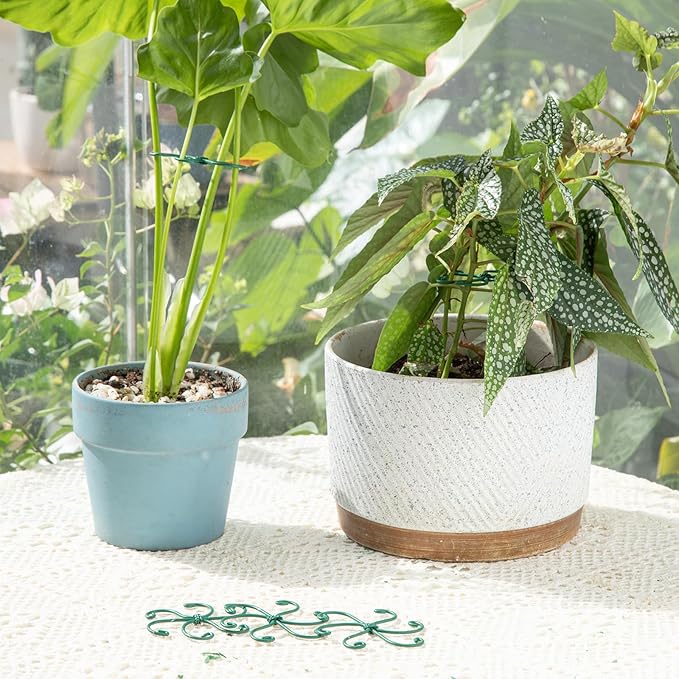 Monstera Plant Stem Support - Set of 5 Sturdy Indoor Support Sticks for Monstera & Climbing Plants - Essential Growth Stabilizers for Leaf Support - Easy-to-Use Gardening Accessories Yohsnor