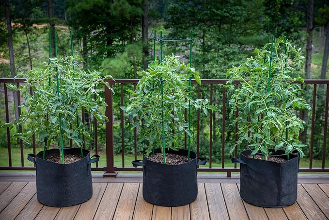 Gardzen 10-Pack 2 Gallon Grow Bags, Aeration Fabric Pots with Handles, Heavy Duty Cloth Pots for Plants Gardzen