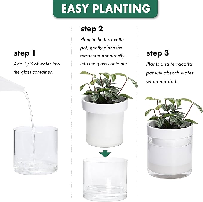 Phoenix Vine 6 Inch 4 Inch Self Watering Planter, White Terracotta Clay Pots with Glass Reservoir for Indoor Plants, Herbs, Flowers, 52-B-G-46 Phoenix+Vine