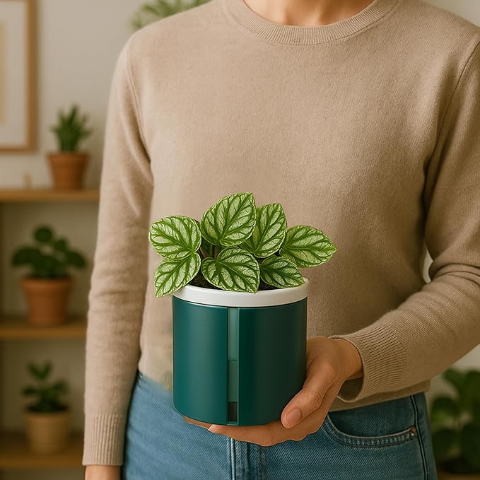 D'vine Dev 4 Inch Design Self Watering Planter for Indoor Plants, White Terracotta Pot with Teal Cylinder Glass Cup, Set of 3,37-Z-A-5-T DvineDevPlanterPotsandStand