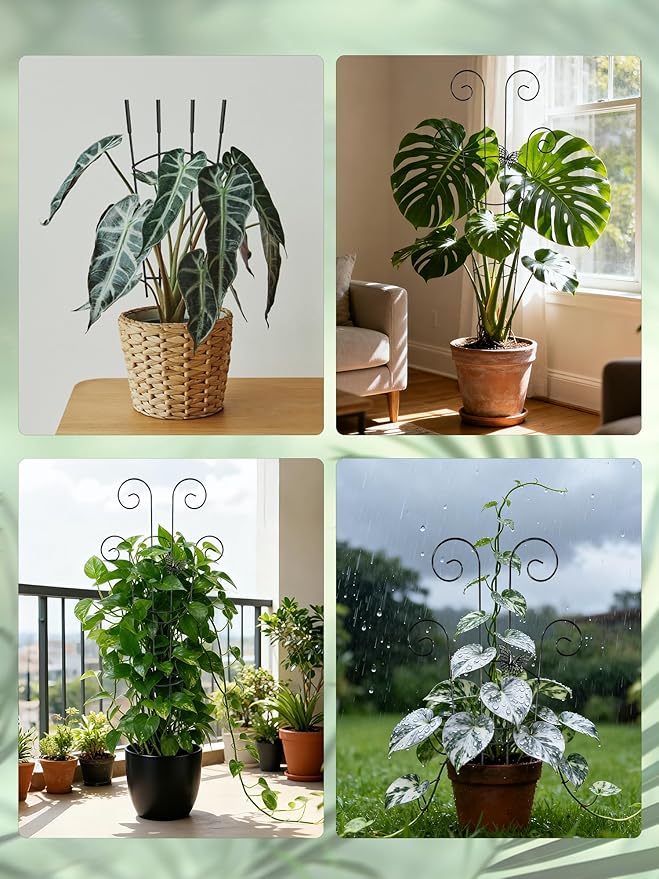 2 Pcs Tall Trellis for Potted Plants, 30'' Expandable Butterfly Shape Garden Trellis for Climbing Plants Indoor, Plant Pothos Climber Support for Monstera, Ivy, Hoya, Vine (Black) Rootora