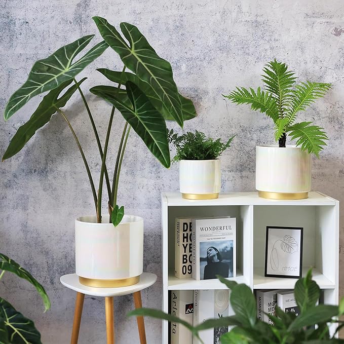 Gepege White Indoor Plant Pots for Plants, Large Ceramic Planter with Drainage Hole, 9.6-inch Succulent Orchid Flower Pot - Rainbow Pearl Glaze Gepege