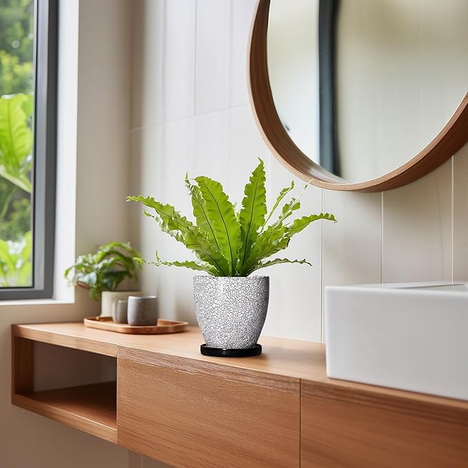 Ceramic Plant Pots - 6 Inch Planters for Indoor Outdoor Plants, Round Plant Pot with Drainage Hole and Saucer, Ceramic Succulent Pots, Desk House Decor, Gardening Gifts for Women, White-Black EPFamily