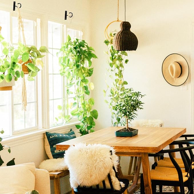 Ceiling Hooks for Hanging Plant, Hanger for Indoor and Outdoor Plant Pots Holder, Wall Hook for Planters, Flower Basket, Wind Chimes, Lanterns, Lights, Bird Feeders, Home Decor-2.5Inch 2Pack AnDocK