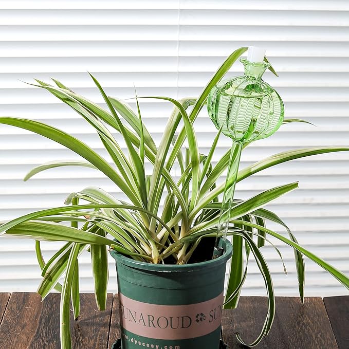 Self Watering Planter Insert. Plant Watering Devices. 3-Pack Cactus Plant Watering Bulbs. Plant Watering Globes. Plant Gifts Plant Lover Gifts KGCCIZI