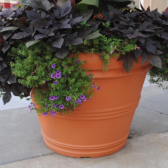 Tusco Products Rolled Rim Garden Planter, 42-Inch, Espresso TuscoProducts