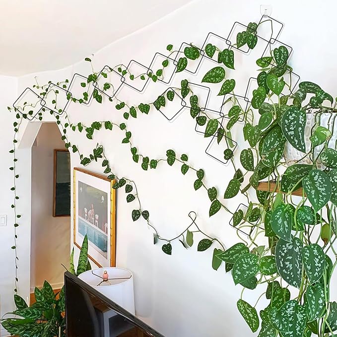 2 Pack 36pcs Chain Trellis for Climbing Plants Indoor & Outdoor, Garden Wall Plant Trellis Plant Vine Support Houseplant Accessories and Plant Gifts for Vine, Ivy, Monstera,Pothos Pahdecor