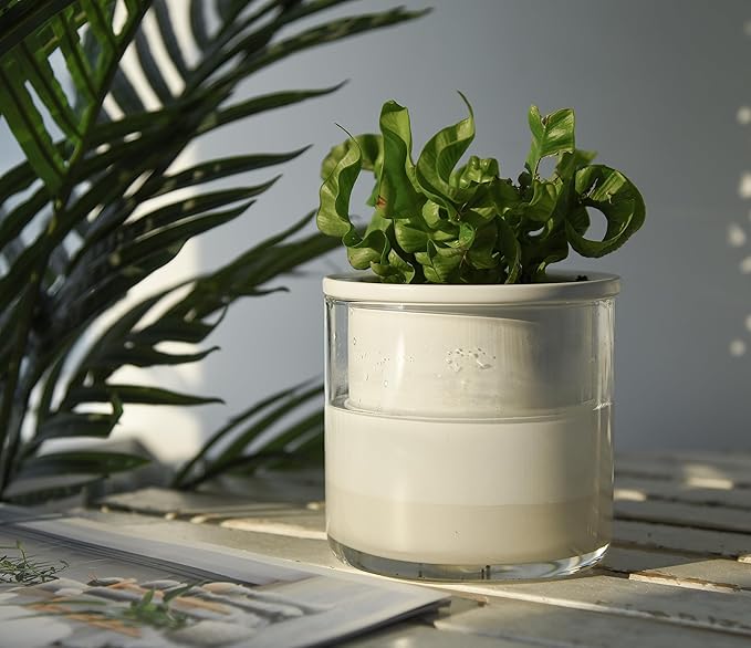 Phoenix Vine 4 Inch Self Watering Planter Pot, Design White Terracotta Pots for Plants, Indoor Cylinder Terra Cotta Pots with Glass Vase, Set of 1, 51-B-E-1 Phoenix+Vine