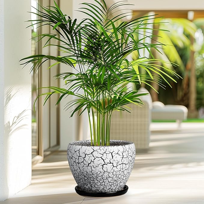 Ceramic Plant Pot 8 Inch - Ceramic Planter for Indoor Plants, Round Flower Pot with Drainage Hole and Saucer, Glaze White and Black Ceramicfor