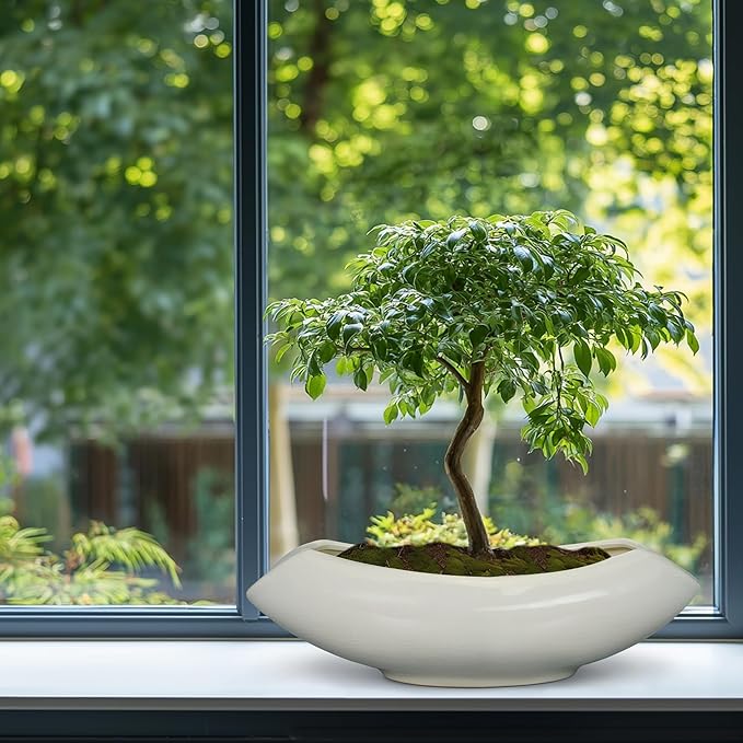 Bonsai Pots 18 Inch - Ceramic Succulent Pots with Drainage Hole Decorative Plant Pot Indoor Large Outdoor Planter Modern Flower Pot for Home Garden Room Decor Gray Teagas