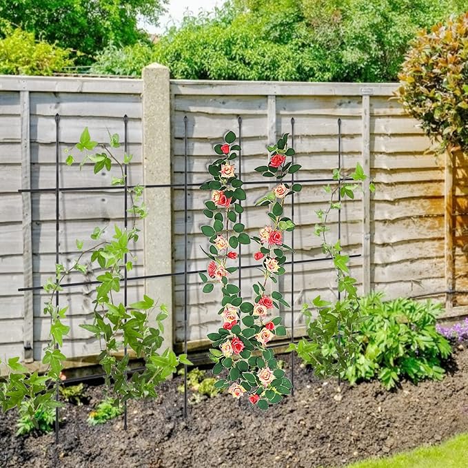 2 Pack Garden Trellis, 2 in 1 Plant Cages & Supports for Vines Crop, Potted/Climbing Plants Indoor Outdoor, Plant Stake for Flower, Vegetable, Tomato, Pot Trellis XINGRUYU