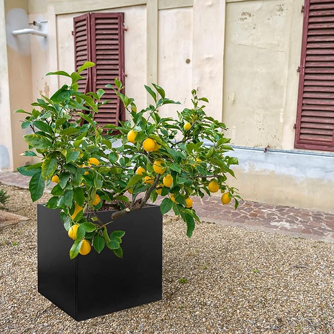 Galvanized Steel Black Planter Box Square 28 in Metal Large Planter Box Outdoor Indoor Huge Cube Heavy Duty Flower Pot Modern Commercial Residential for Patio, Yard, Garden GZGNEEVL