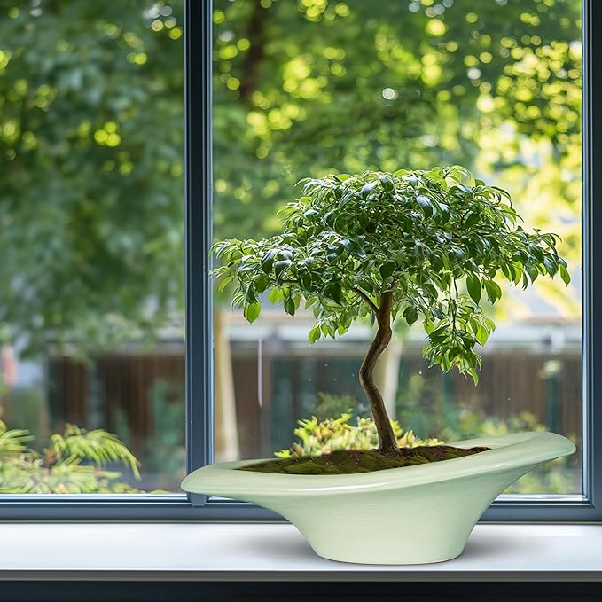 Ceramic Bonsai Pots - Large Succulent Planter 18 Inch Plant Pot Indoor Succulent Pot with Drainage Hole Outdoor Planter Bonsai Tree Pot for House Home Garden Decor Green Teagas